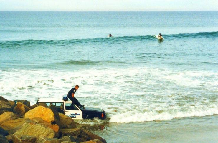 daily picdump weekend edition 74 pics 14.html - 74 HD Photos | Premium Gallery 2019