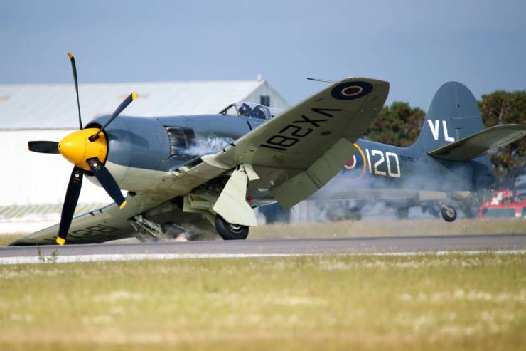 daily picdump weekend edition 74 pics 14.html - 74 HD Photos | Premium Gallery 2019