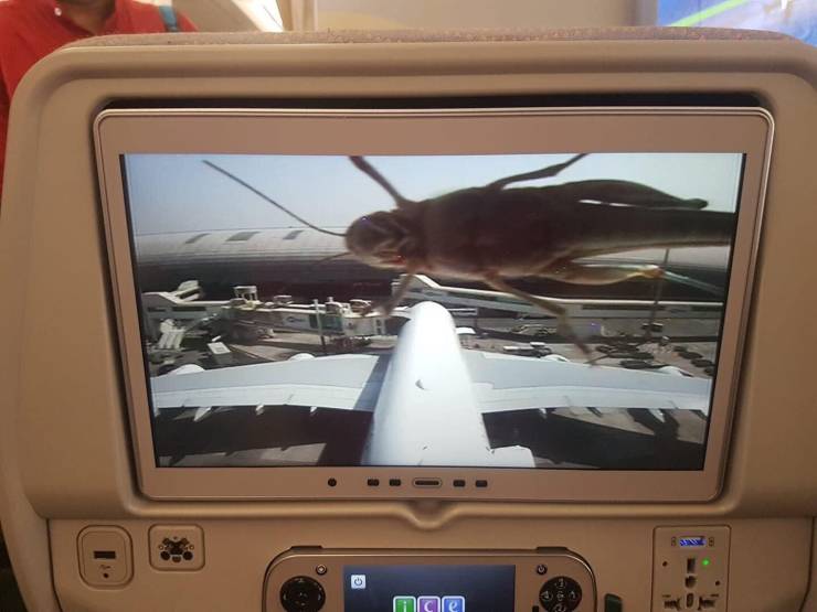 daily picdump weekend edition 74 pics 14.html - 74 HD Photos | Premium Gallery 2019