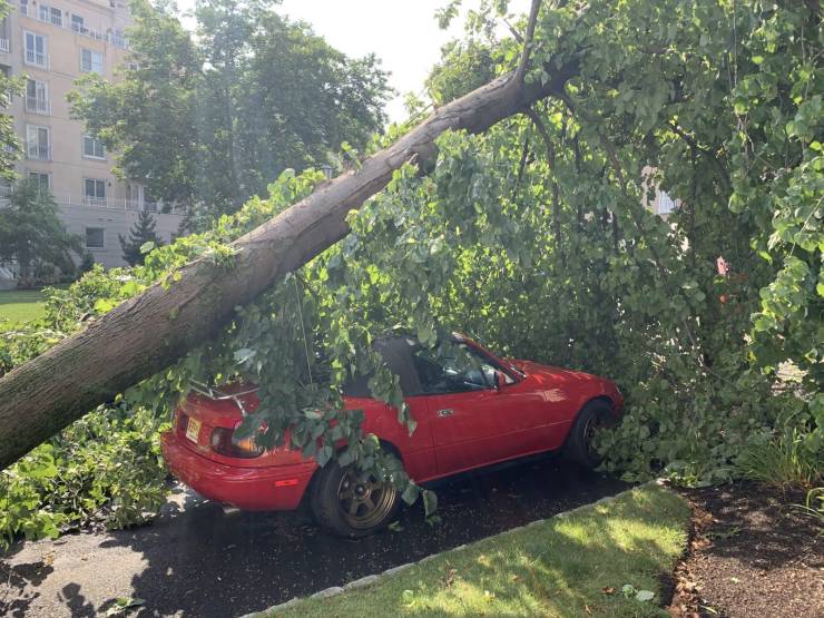 daily picdump weekend edition 74 pics 14.html - 74 HD Photos | Premium Gallery 2019