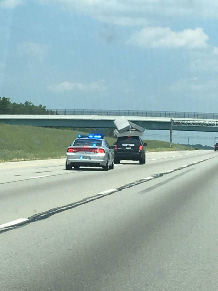 Daily Picdump [WEEKEND EDITION]