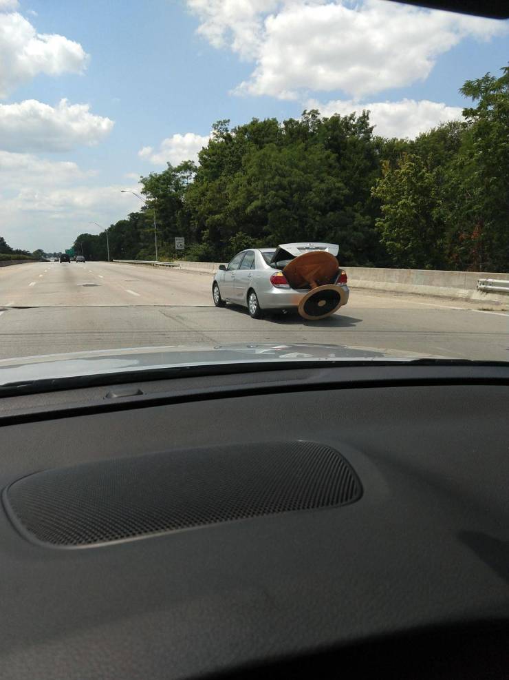 Daily Picdump [WEEKEND EDITION]