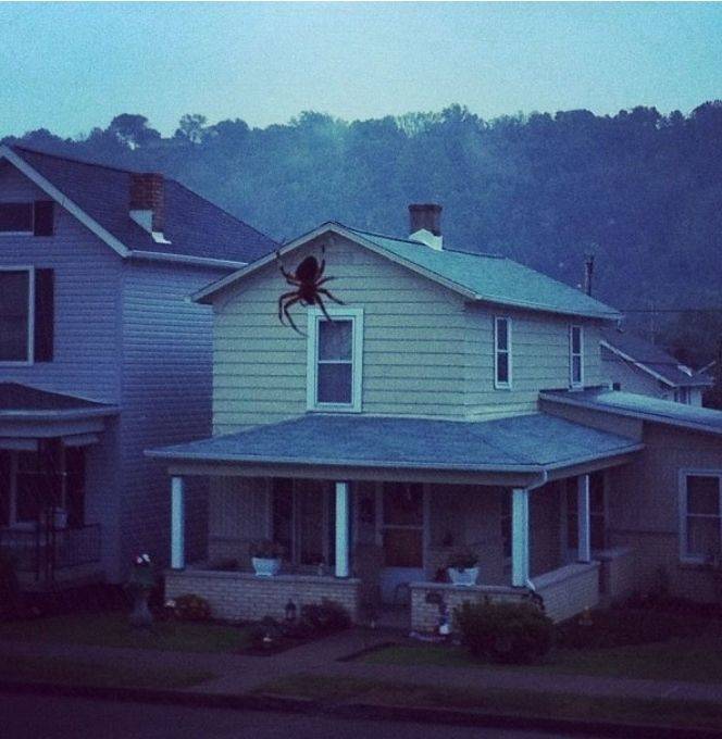 Daily Picdump [WEEKEND EDITION]