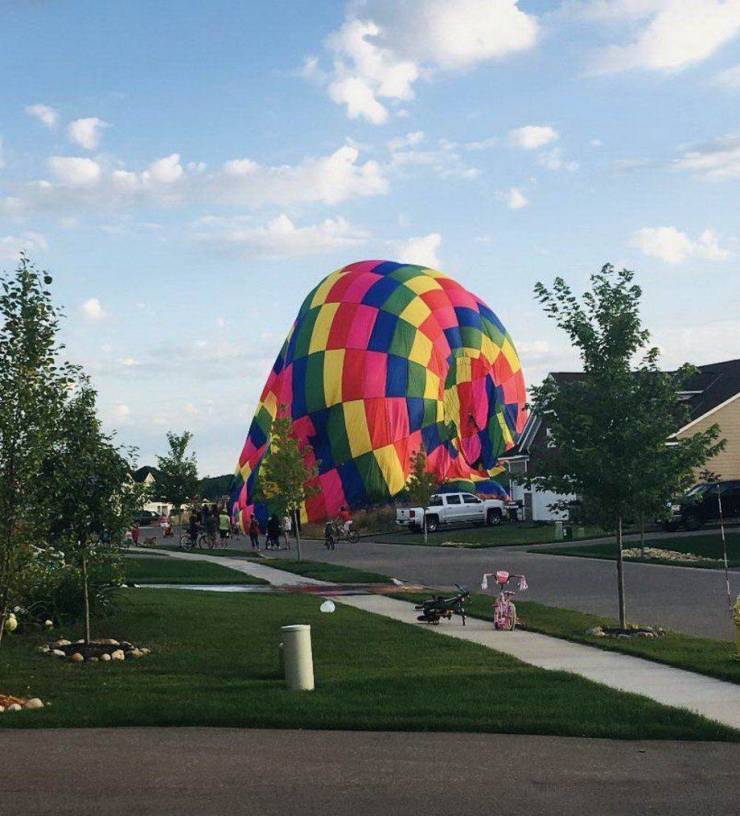 daily picdump weekend edition 74 pics 14.html - 74 HD Photos | Premium Gallery 2019