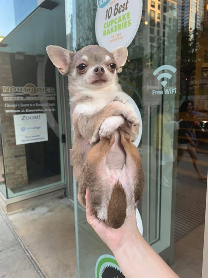 daily picdump weekend edition 74 pics 14.html - 74 HD Photos | Premium Gallery 2019