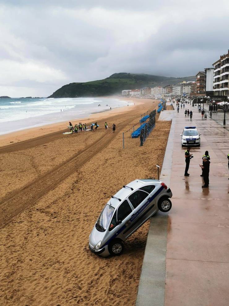 daily picdump weekend edition 74 pics 14.html - 74 HD Photos | Premium Gallery 2019