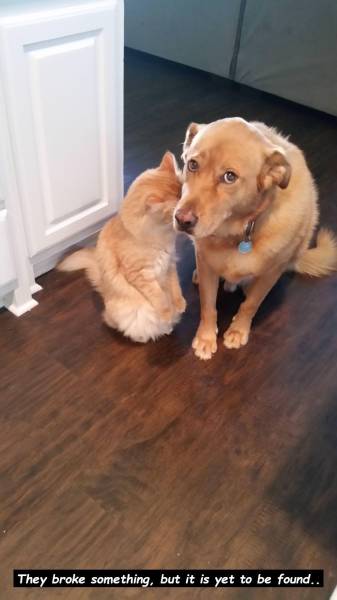 page,6,top 750 daily pics of the year 2019.html - 1 HD Photos | Premium Gallery 2019