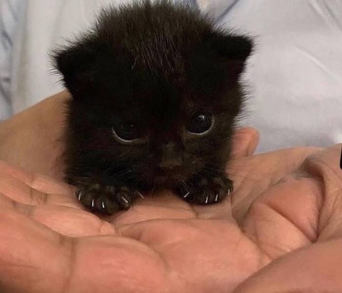 page,26,top 750 daily pics of the year 2019.html - 1 HD Photos | Premium Gallery 2019