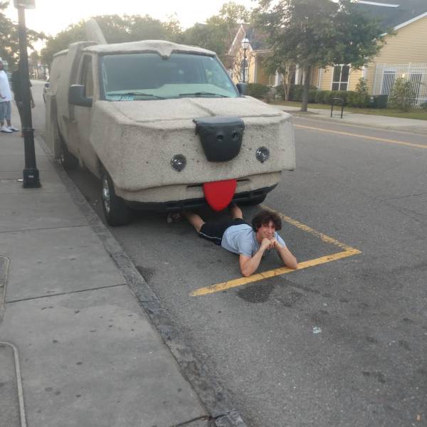 daily picdump 86 pics 41.html - 86 HD Photos | Premium Gallery 2019