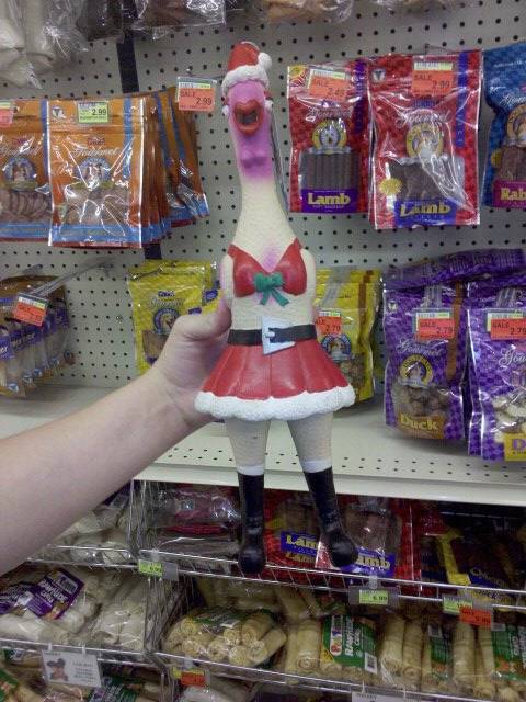 daily picdump 86 pics 41.html - 86 HD Photos | Premium Gallery 2019