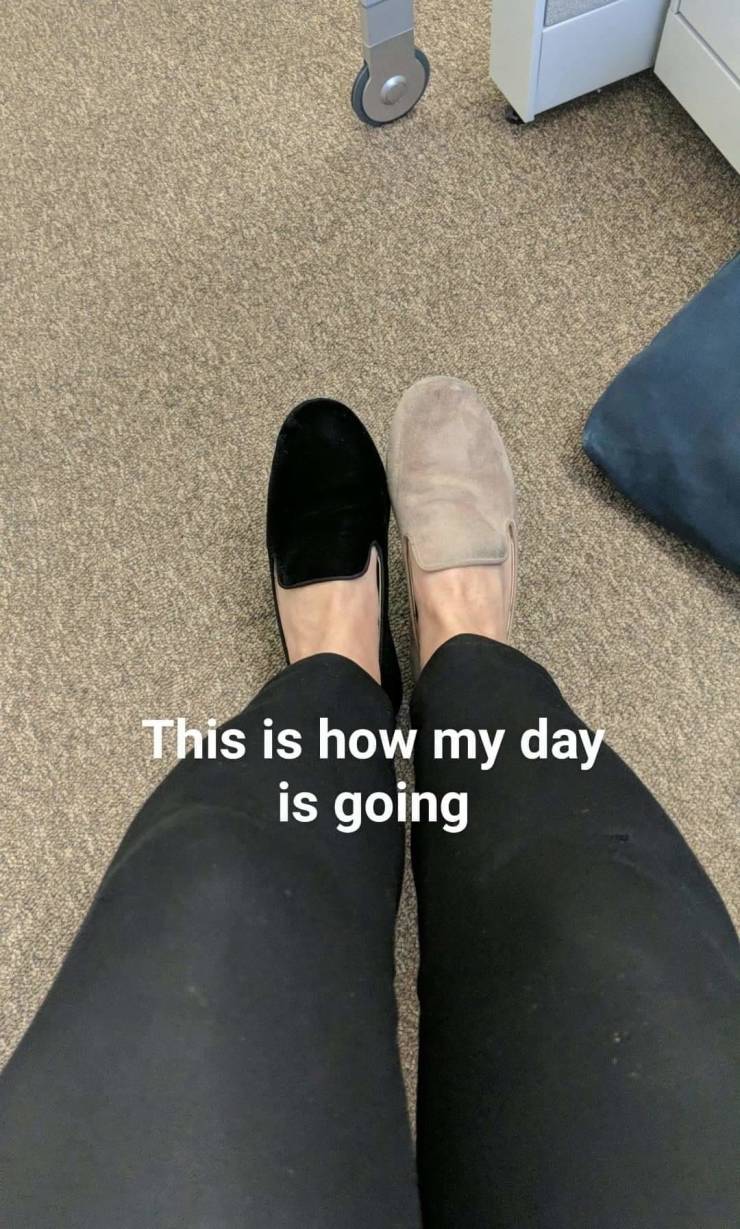 daily picdump 86 pics 41.html - 86 HD Photos | Premium Gallery 2019