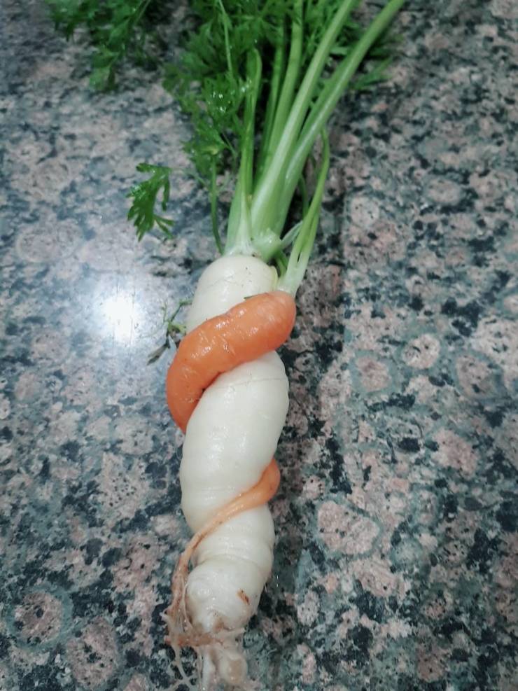 daily picdump 86 pics 41.html - 86 HD Photos | Premium Gallery 2019