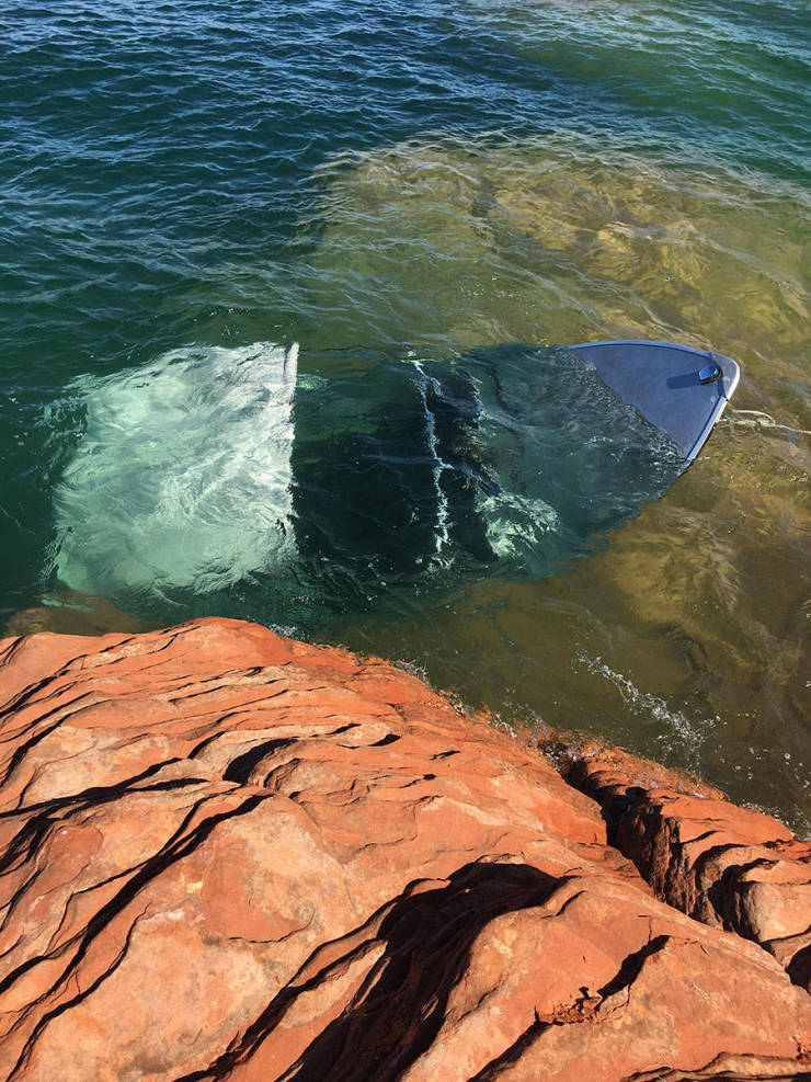 daily picdump 86 pics 41.html - 86 HD Photos | Premium Gallery 2019