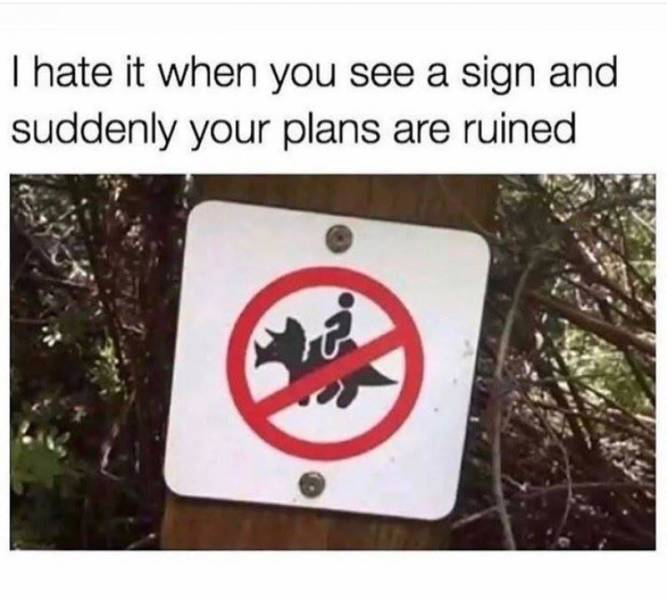 funny picdump 50 pics 9.html - 50 HD Photos | Premium Gallery 2019