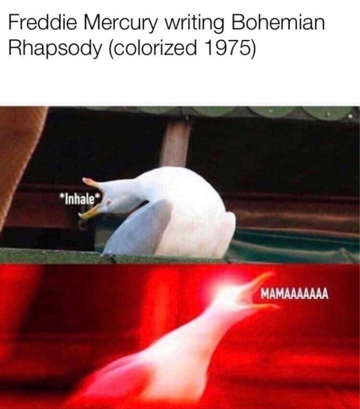 funny picdump 50 pics 9.html - 50 HD Photos | Premium Gallery 2019