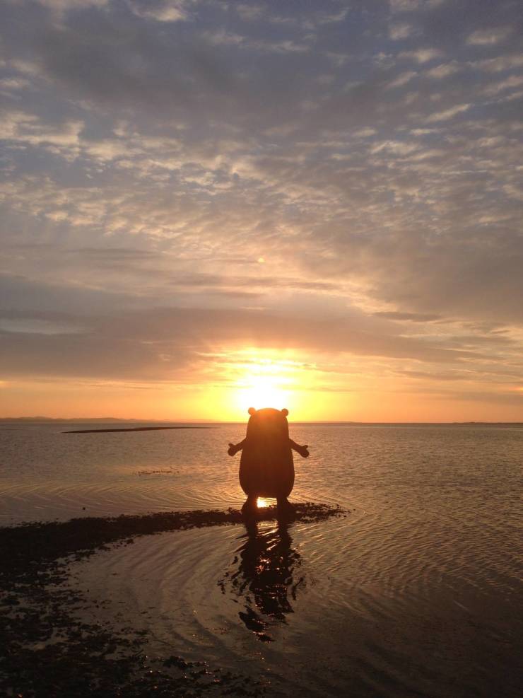 daily picdump 88 pics 33.html - 88 HD Photos | Premium Gallery 2019