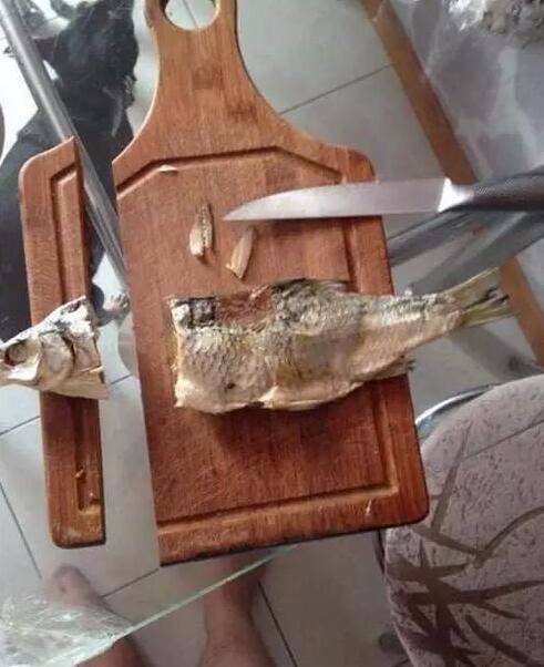 daily picdump 88 pics 33.html - 88 HD Photos | Premium Gallery 2019