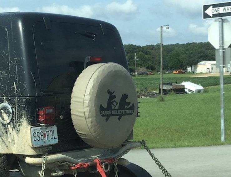 Hard-to-explain WTF Photos