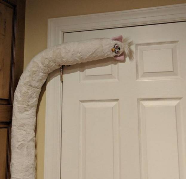 Hard-to-explain WTF Photos