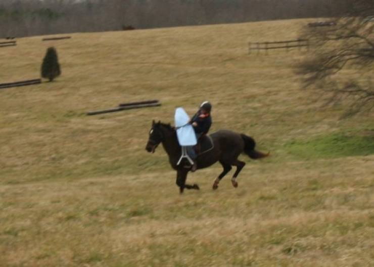 morning picdump 50 pics 1.html - 50 HD Photos | Premium Gallery 2019