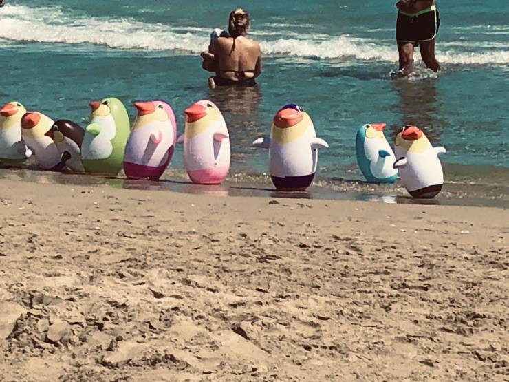 morning picdump 50 pics 1.html - 50 HD Photos | Premium Gallery 2019