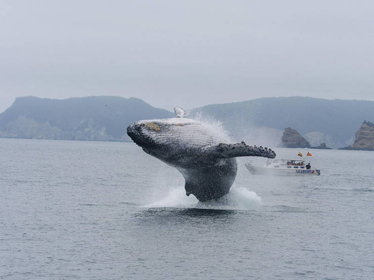 morning picdump 50 pics 1.html - 50 HD Photos | Premium Gallery 2019