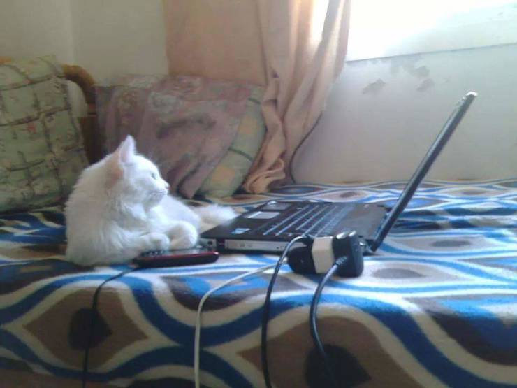 morning picdump 50 pics 1.html - 50 HD Photos | Premium Gallery 2019