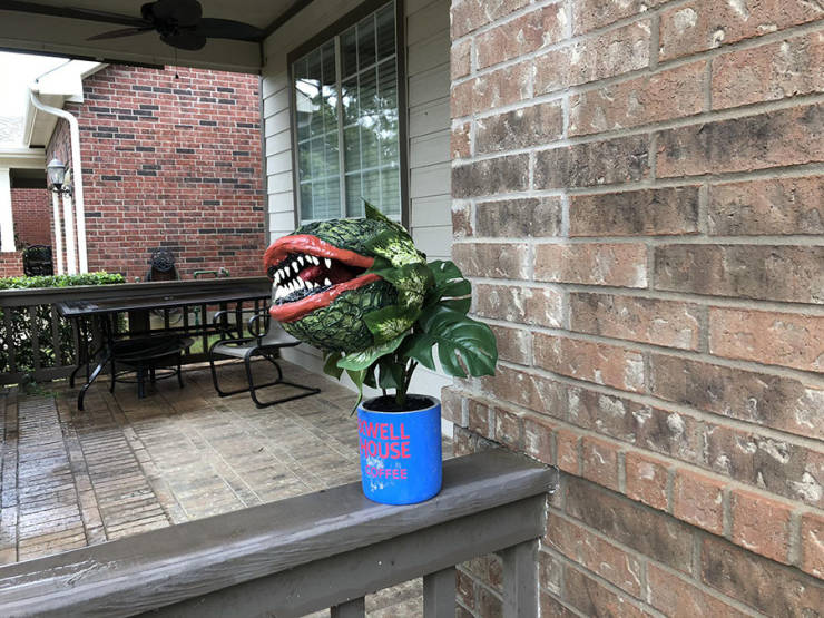 morning picdump 50 pics 1.html - 50 HD Photos | Premium Gallery 2019