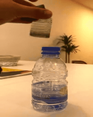 You Didn’t Expect These Unexpected GIFs