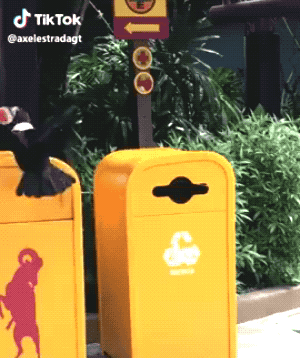 You Didn’t Expect These Unexpected GIFs