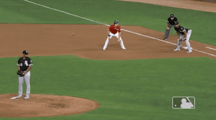 You Didn’t Expect These Unexpected GIFs