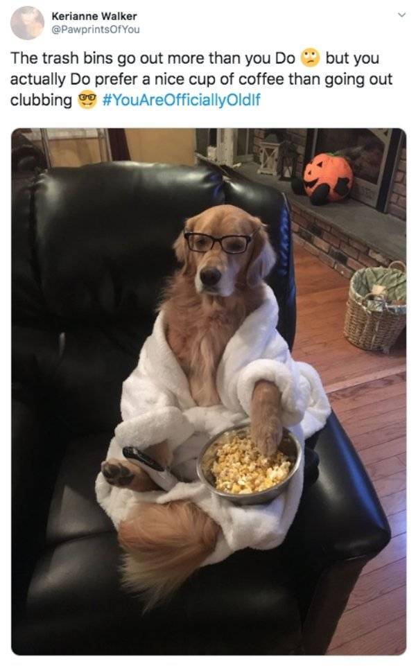 You Are Way Too Old…