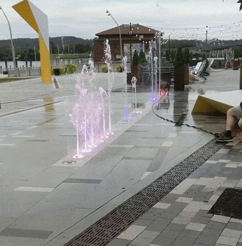 It’s Dog Day Every Day!