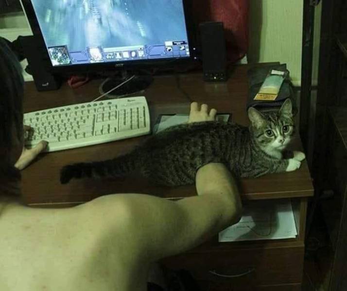 page,8,top 250 morning pics of the year 2019.html - 1 HD Photos | Premium Gallery 2019