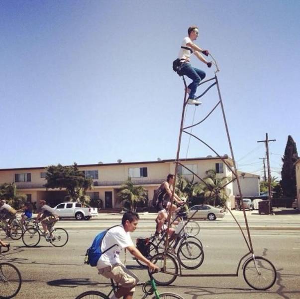 daily picdump 92 pics 12.html - 92 HD Photos | Premium Gallery 2019