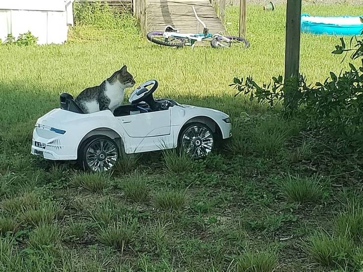 daily picdump 92 pics 12.html - 92 HD Photos | Premium Gallery 2019