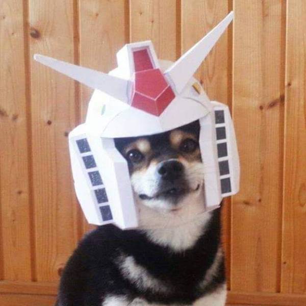 daily picdump 92 pics 12.html - 92 HD Photos | Premium Gallery 2019