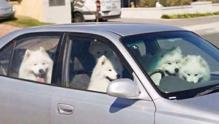 daily picdump 92 pics 12.html - 92 HD Photos | Premium Gallery 2019