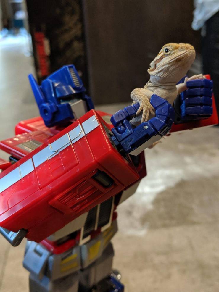 daily picdump 92 pics 12.html - 92 HD Photos | Premium Gallery 2019