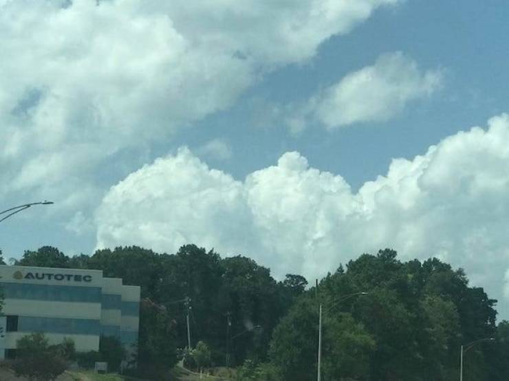 We All Know What We See Here