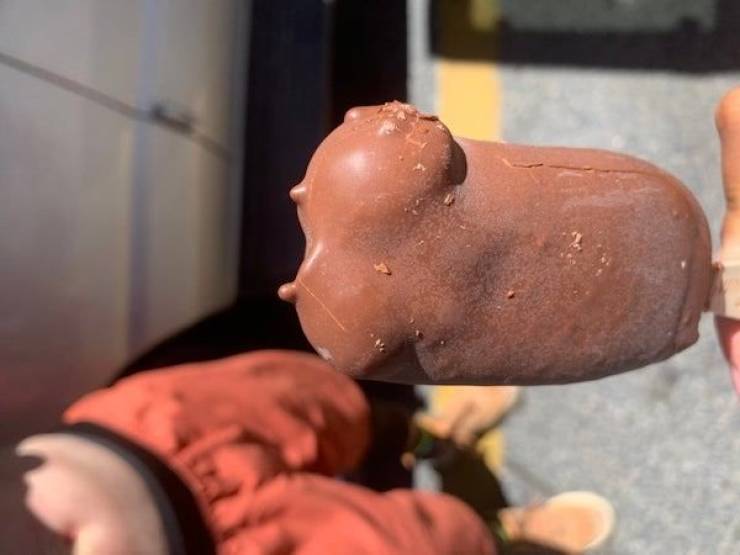 We All Know What We See Here