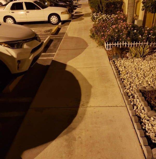 We All Know What We See Here