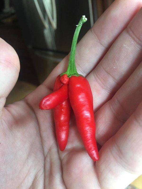 We All Know What We See Here