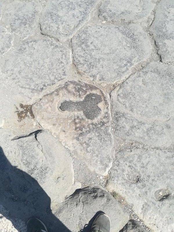 We All Know What We See Here