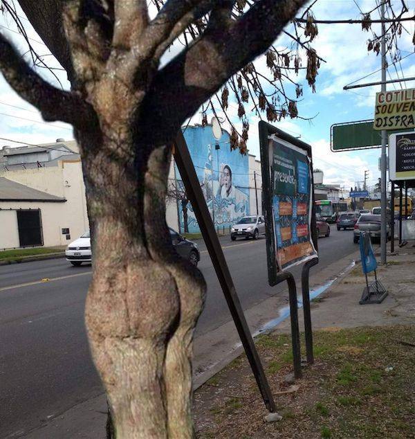 We All Know What We See Here