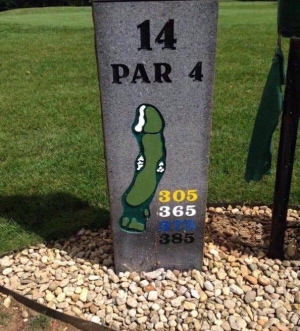 We All Know What We See Here