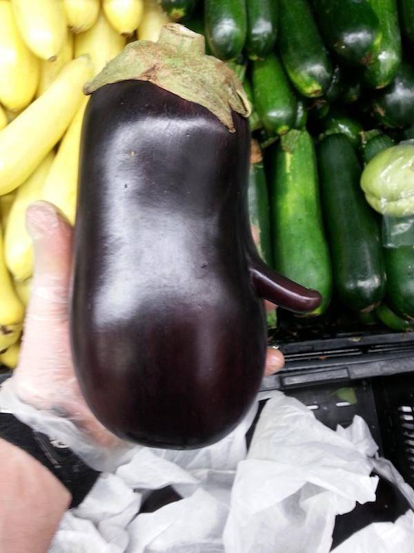 We All Know What We See Here