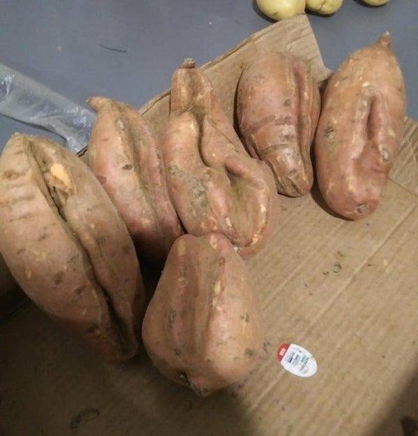 We All Know What We See Here