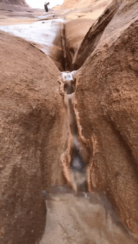 We All Know What We See Here