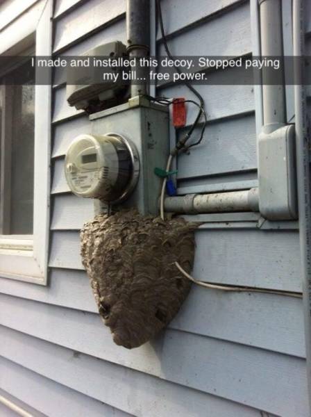 page,27,top 750 daily pics of the year 2019.html - 1 HD Photos | Premium Gallery 2019